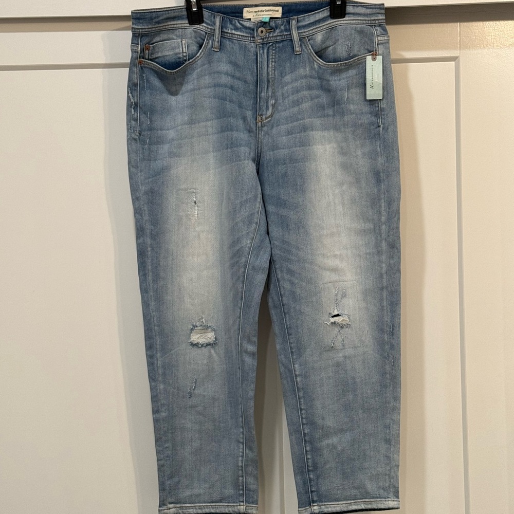 Anthropologie Pilcro slim boyfriend cropped jeans.  Sz 16. NWT.